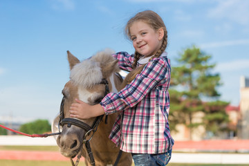 Pony. Landscape. Riding. Summer