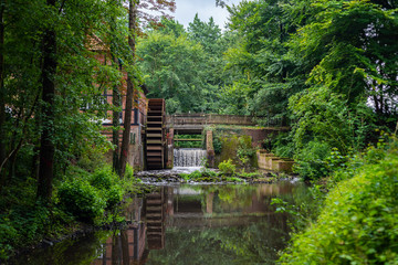 old bridge in the forest
