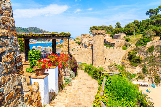 Flowers on coastal path in Tossa de Mar and view of castle with old town, Costa Brava, Spain