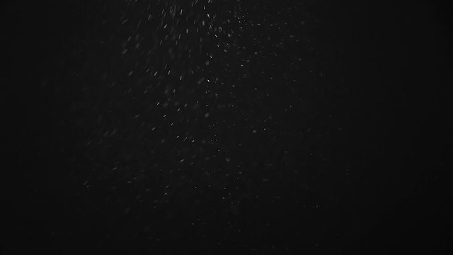 Floating natural organic white dust particles on black background