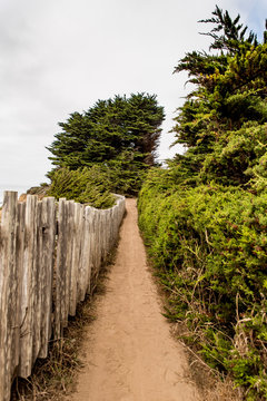 Coastal trail with fence and green space on either side