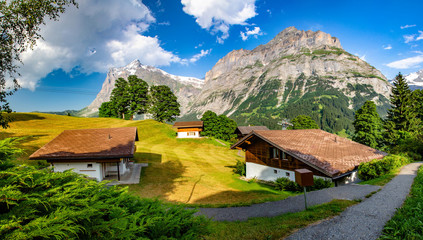 Fototapeta na wymiar Swiss beauty, Wetterhorn above Grindelwald houses, Bernese Oberland, Switzerland, Europe