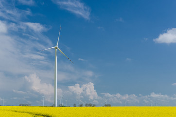 WIND FARM - Renewable energy sources in a yellow rape field