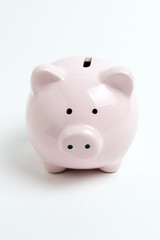 piggy bank on white background
