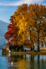 Fototapeta na wymiar the lake of Thun, Switzerland