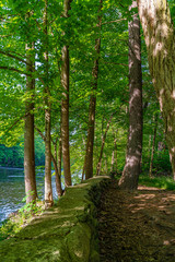 A part of the Neversink River near Guymard Turnpike, tributary of the Delaware River Unique Area in the Catskills, NY.