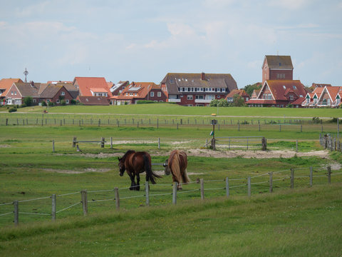 Baltrum in der Nordsee