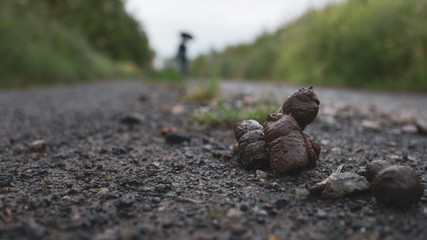 Dark dog poo on the street with a silhouette of a woman in the distance