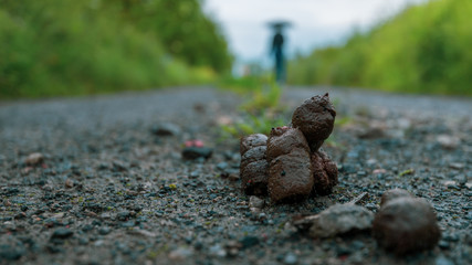 Dark dog poo on the street with a silhouette of a woman in the distance
