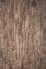 Fototapeta premium old wood texture