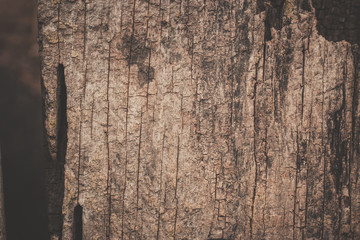 old wood texture