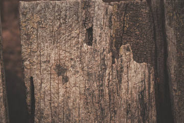 old wood texture