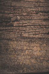 old wood texture
