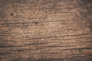 Obraz premium old wood texture