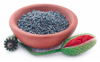 Poppy flower seeds and pods