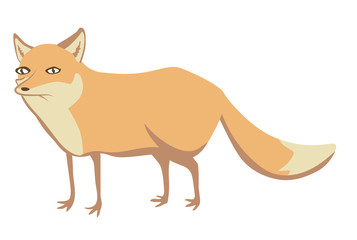 Fox cub character icon flat vector silly diverse tender adorable