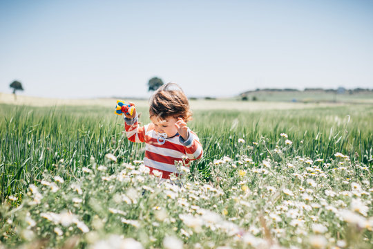 Kid with pacifier walking in a field full of flowers in countryside and holding a toy