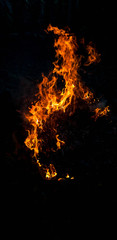 Fototapeta na wymiar burning trash with silhouette forest