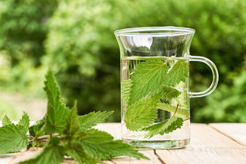 Fresh herbal nettle tea. Green nettle leaves in a glass in a garden on a wooden table with fresh...