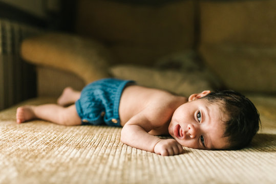 Cute little innocent newborn baby in back lying on sofa at home