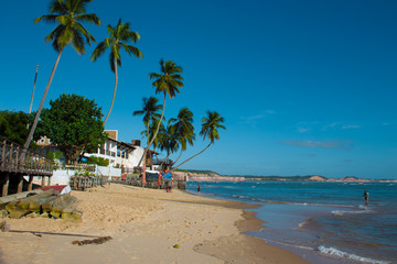 Beach Dolphin Bay - Pipa