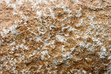The texture of granite stone red color