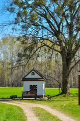 Beautiful spring landscape. Tree and chapel on the glade in the forest.