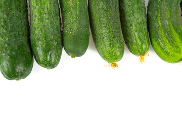 fresh cucumbers isolated on white background