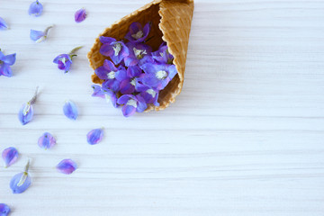 flowers in waffle cone on wooden background