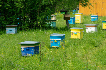 Hives in an apiary in a spring garden. Honey business concept. Shulgan-Tash Nature Reserve.