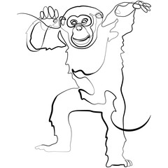 Monkey one line drawing. Line Art Chimp Vector Illustrration