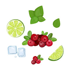 Mojito ingredients set