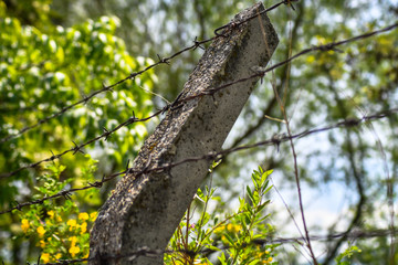 Barbed wire on a concrete post