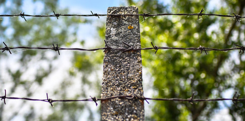 Barbed wire on a concrete post