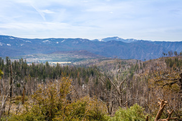 Beautiful landscape of the Yosemite National Park. California, USA