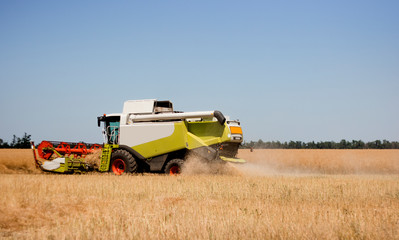 Obraz premium wheat field harvesting agriculture tractor