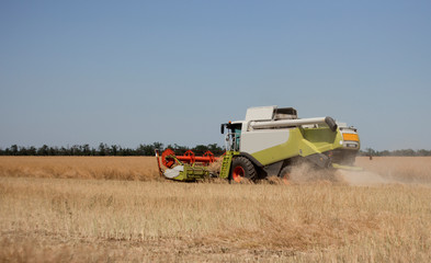 Obraz premium wheat harvesting field tractor machine