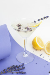Cold, refreshing lavender lemonade, martini on a bright white-purple background with ice, lemon and lavender flowers on the background. vertical frame with space for text