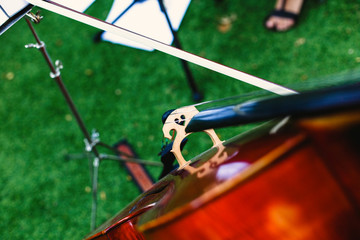 Detail of the strings of a cello, musical instrument to interpret classical pieces.