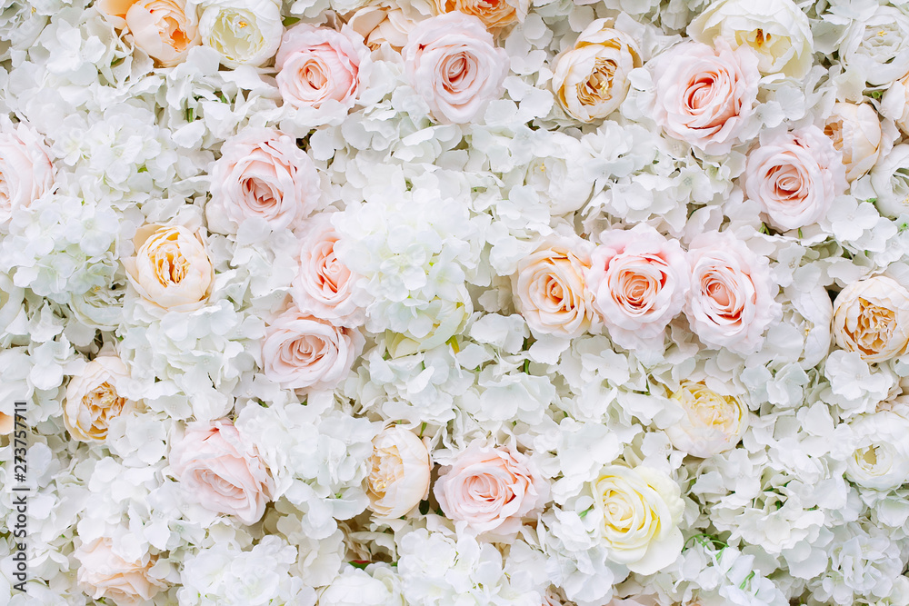 Wall mural flowers wall background with white and light orange roses.