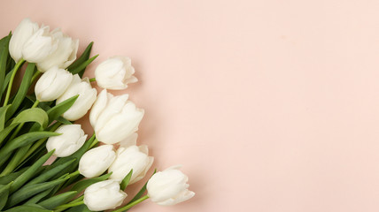 Bouquet of fresh spring white tulips lies on a light pastel background, Copy space