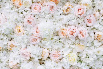 Flowers wall background with white and light orange roses.