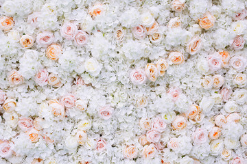 Flowers wall background with white and light orange roses.