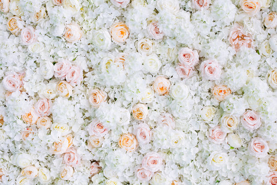 Flowers wall background with white and light orange roses.