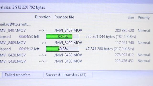 Downloading files through a computer program