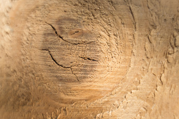 wood brown texture background close up