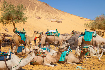 Poblado Nubio, Assuan, Valle del Nilo, Egipto