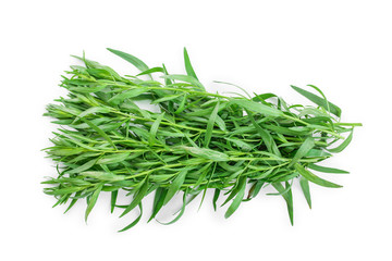 tarragon or estragon isolated on a white background. Artemisia dracunculus