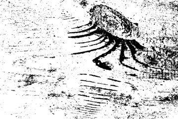 Distress Wooden Background