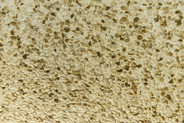 spongy textured wall, texture background